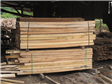 Sawn Timber
